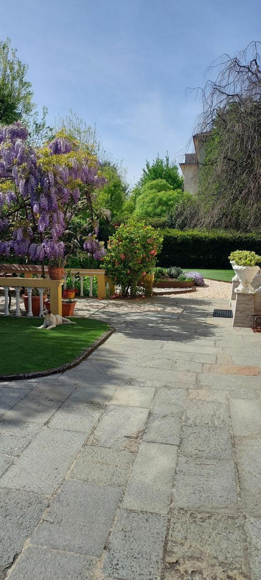 Villa Lina 克雷莫纳 外观 照片